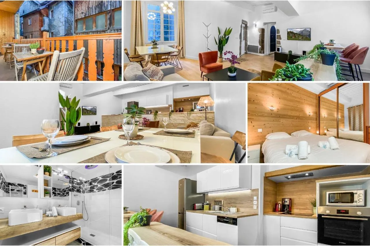Apartment Homey Earl - Hypercentre - Proche Gare - Sauna Privatif - Balcon Prive - Wifi Gratuit Annecy
