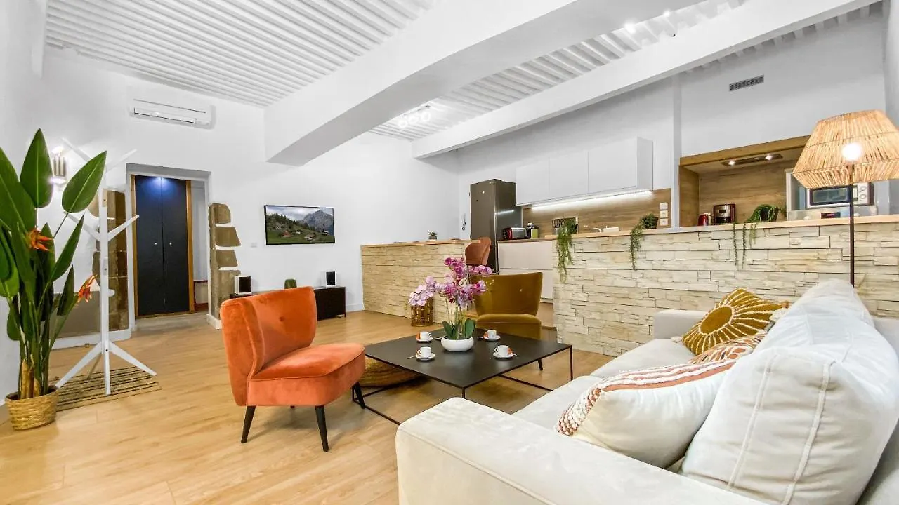 Apartment Homey Earl - Hypercentre - Proche Gare - Sauna Privatif - Balcon Prive - Wifi Gratuit Annecy France