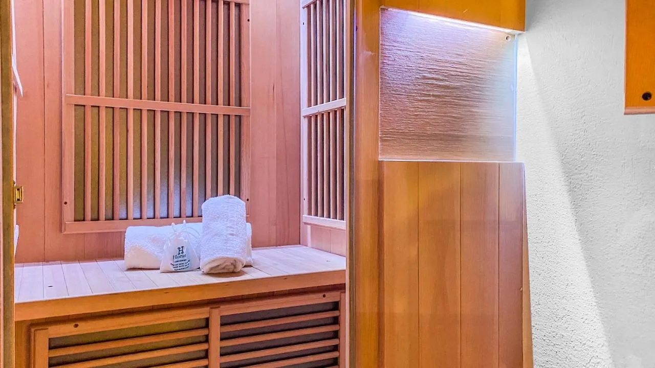 Apartment Homey Earl - Hypercentre - Proche Gare - Sauna Privatif - Balcon Prive - Wifi Gratuit Annecy